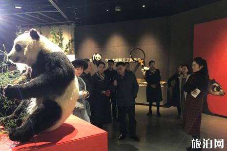 重庆自然博物馆熊猫展免费吗 2019重庆自然博物馆熊猫展时间+地点