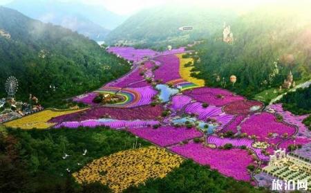 重庆薰衣草花海在哪里