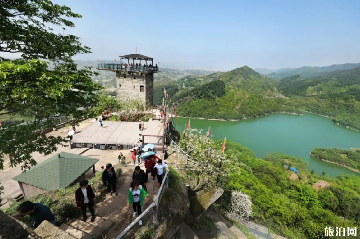 梁平柚花什么时候开 2019梁平柚花节时间+游玩线路推荐