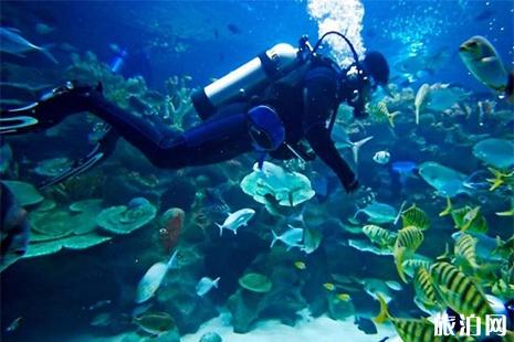 北京海洋馆跟太平洋海底哪个好