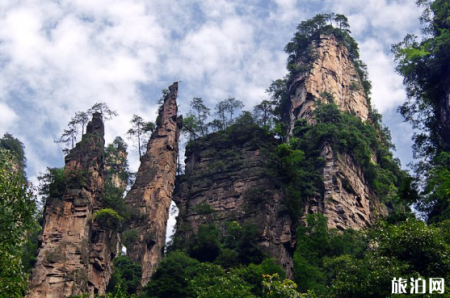 来张家界旅游注意事项 张家界导游坑吗