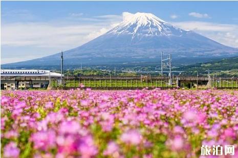 日本文化遺產有哪些