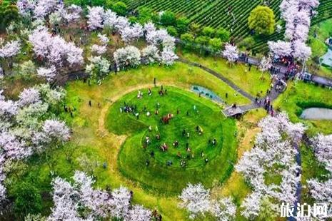 2019南昌春天赏花的地方推荐