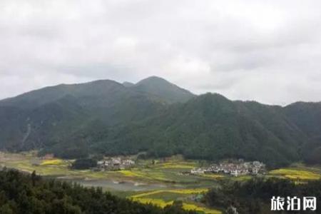 2019南昌春天赏花的地方推荐