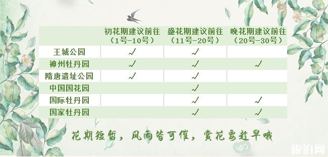 2019洛阳牡丹花会时间地点+交通