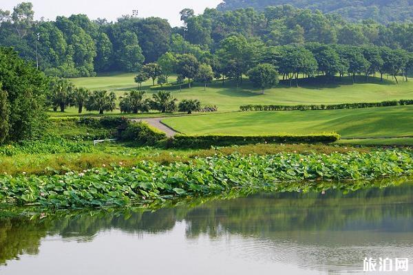 羊城八景是那八景 羊城八景点地点+路线