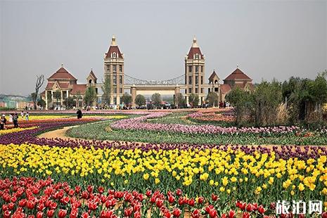 洛陽豪澤國際郁金香花海門票信息