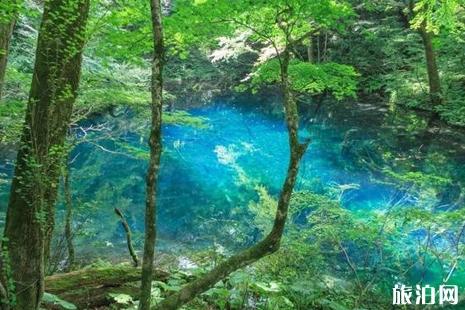 日本自然遗产有哪些