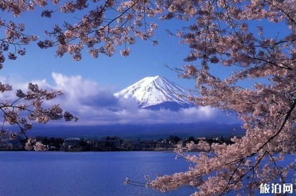 从东京到富士山怎么走