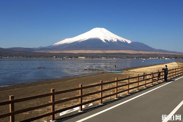 从东京到富士山怎么走