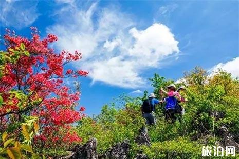 开化赏花的几处地方