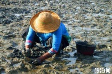 2019紅島蛤蜊節4月30日至5月5日開啟