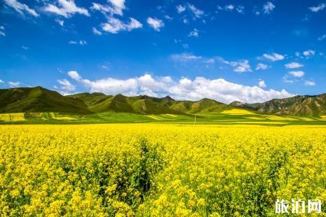 2019北京房山天開花海油菜花節時間+票價+活動內容