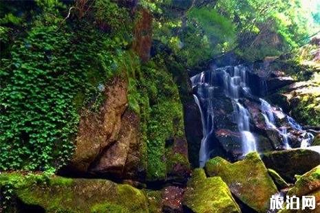 木王山景區(qū)在哪兒 木王山景區(qū)門票 木王山景區(qū)游玩攻略