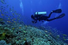 潛水有幾種類型 什么是自由潛水