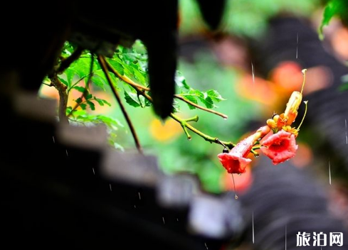 湖南梅雨季节是几月份 2019湖南梅雨什么时候