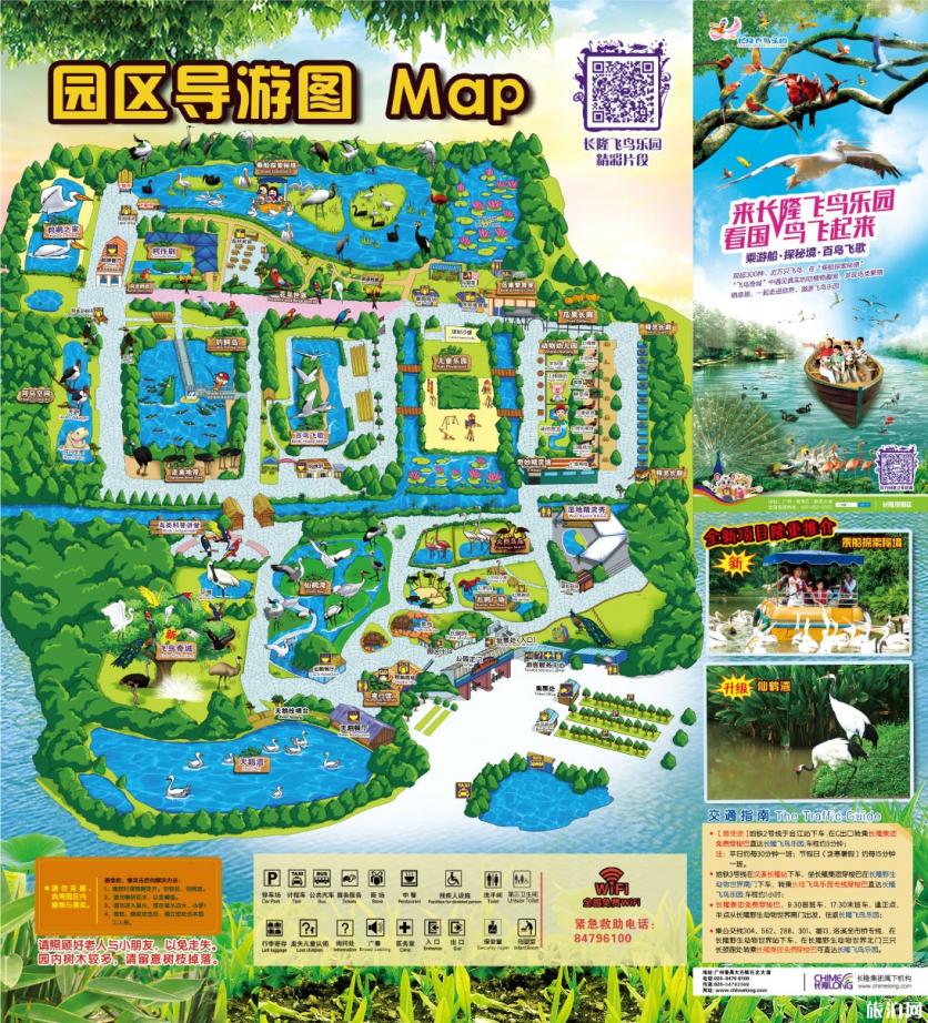 廣州長隆野生動物園一日游攻略+長隆飛鳥樂園攻略（門票+交通+開放時間）