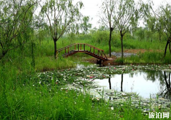 五一濟西濕地公園開放了嗎 2019濟西濕地公園開放時間