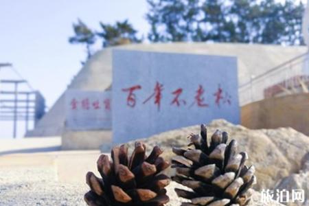 哈仙岛三天两夜海岛之旅攻略