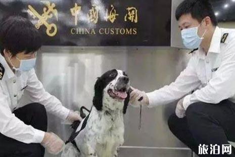 2019中国宠物入境新规整理