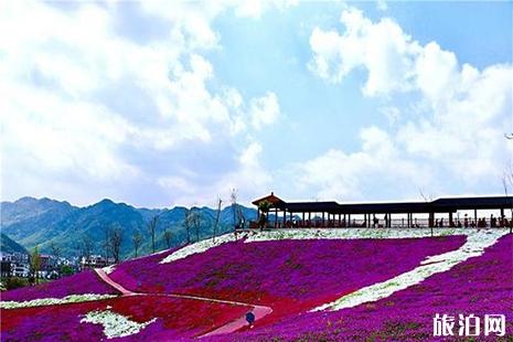 义乌后宅花间乐园门票信息 附芝樱花花期