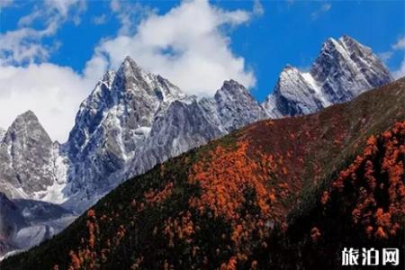 理县毕棚沟和桃坪羌寨景区5月11日至12日免费游玩信息