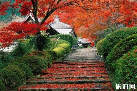 北京香山公園 香山公園門票 香山公園賞玩攻略