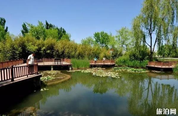 北京有哪些公园最好玩
