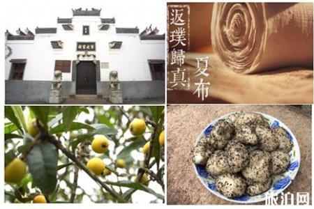 2019江西信州沙溪古镇枇杷节 价格+采摘攻略