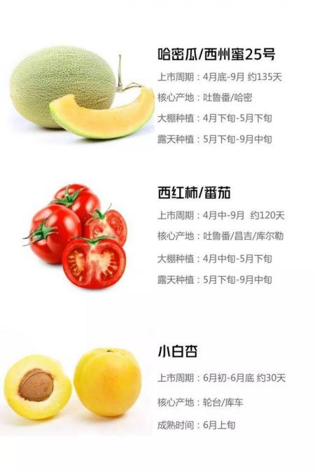 新疆水果成熟时间表 新疆旅游什么时候适合吃瓜