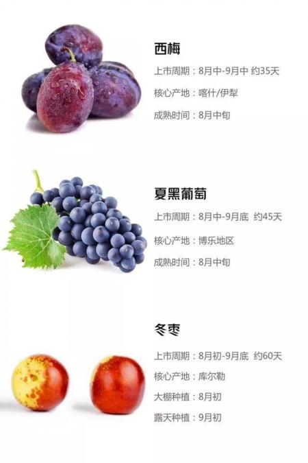 新疆水果成熟时间表 新疆旅游什么时候适合吃瓜