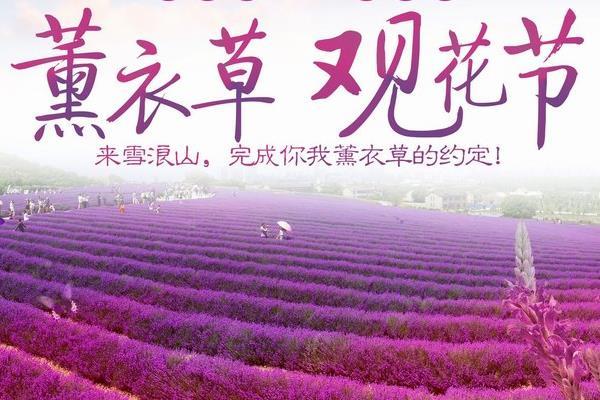 2019年雪浪山薰衣草开放时间+交通指南