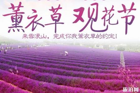 2019年雪浪山薰衣草开放时间+交通指南