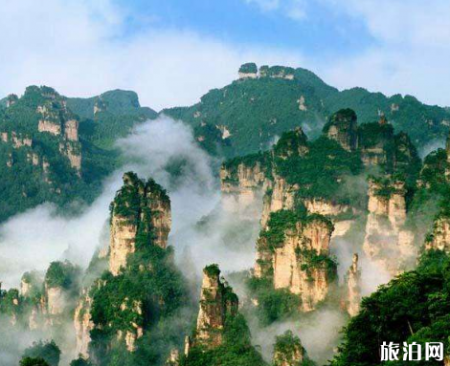 去张家界坐高铁怎么走