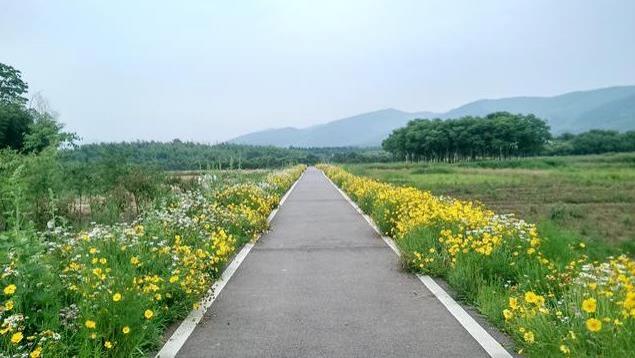 宜兴自行车主题公园门票价格+地址