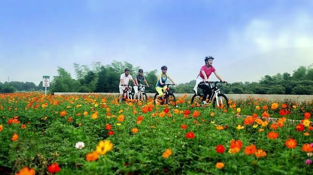 宜興自行車主題公園門票價格+地址