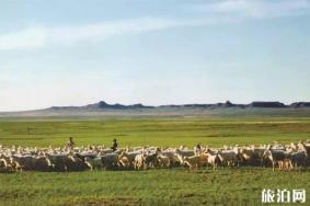 2019中国旅游日鄂尔多斯景区免费景点+活动