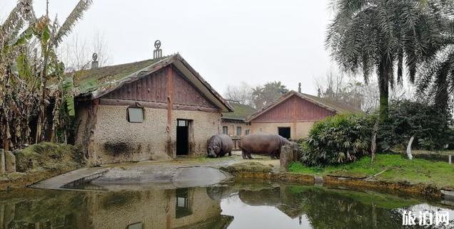 南昌新動(dòng)物園門票價(jià)格+優(yōu)惠政策+開(kāi)放時(shí)間