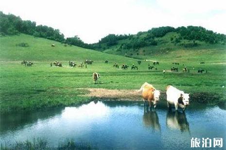 關(guān)山牧場(chǎng)門票多少錢