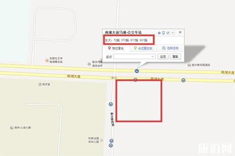 武汉市区桑葚采摘园地址