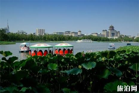 北京莲花池公园收费吗