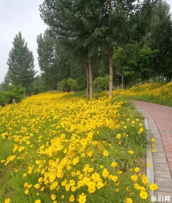 渭河濕地公園在哪里 渭河濕地公園地址在哪兒