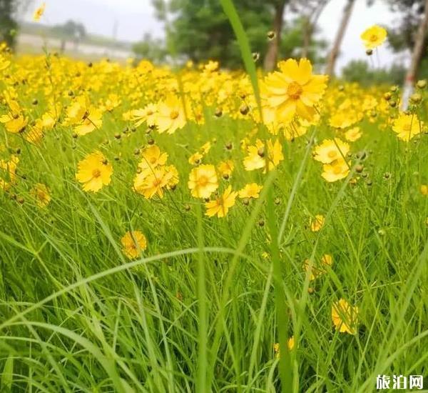 渭河濕地公園在哪里 渭河濕地公園地址在哪兒