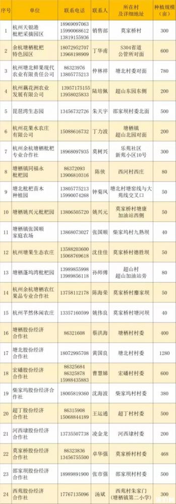 2019塘栖枇杷节采摘地 附电话号码
