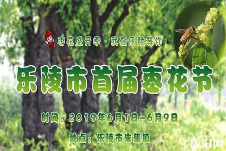 2019德州乐陵首届枣花节6月1日开启 附活动时间安排