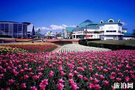 2019年夏季去日本新潟旅游路线推荐