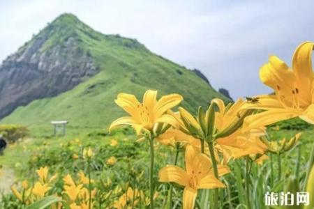 2019年夏季去日本新潟旅游路线推荐