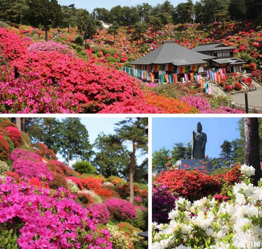 2019日本赏花时间表+地址