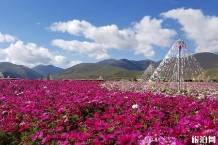 2019稻城亚丁旅游攻略