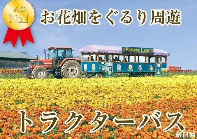 日本北海道富良野的花田最佳时间及游玩攻略